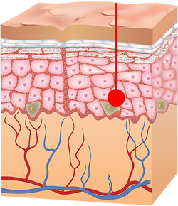 Benefits of LED – Derma Tech Skin